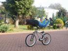 Akrobacje rowerowe_2