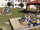 Dzień drzewa