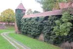 Krzyżacki zamek i smak piernika_9