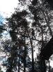 Wycieczka do Poznania_20
