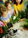 b_180_125_16777215_00_images_gallery_ekologiaprzedsz_IMG_20210129_103727.jpg