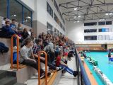 b_185_120_16777215_00_images_2016-11-19-18.jpg